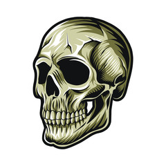 skull head face vector illustration design isolated on white background