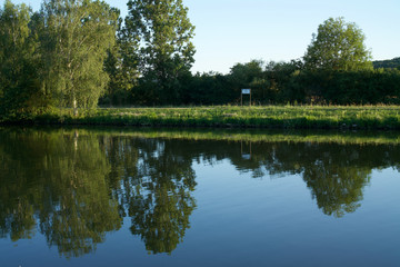 Reflections of trees in the water of the river.