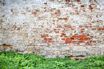 Brick old wall with green grass at the foot. Copy space.