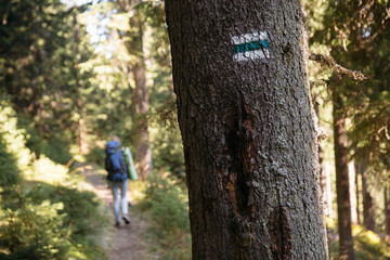 Obraz premium Trail marking