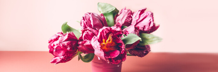 Beautiful Bunch of Peony Style Tulips in a Pot on the dusty pink background, spring holiday...