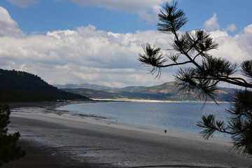 Cone forest in Turkey.
