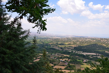 Cone forest in Turkey.
