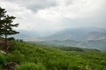 Cone forest in Turkey.