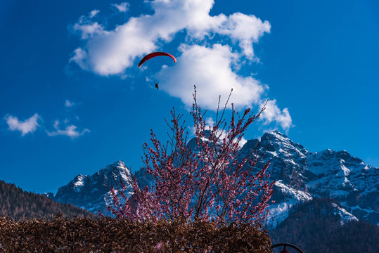 Gleitschirm, Berg, Wolken und bl&uuml;hender Baum
