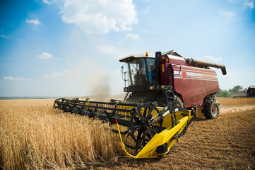 Combine harvesters in a field of wheat