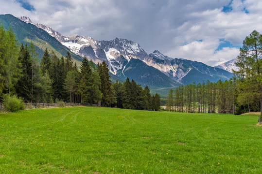 Gr&uuml;ne Wiese und Wald in den Mieminger Bergen