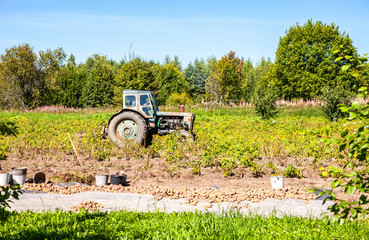 Wheeled agricultural tractor working at the potato plantation