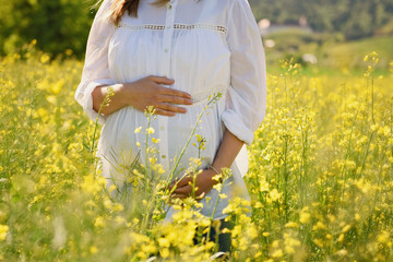 young pregnant woman in a field of oilseed - 346286815