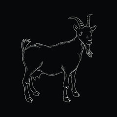 Vector illustration of a goat in black and white chalk style