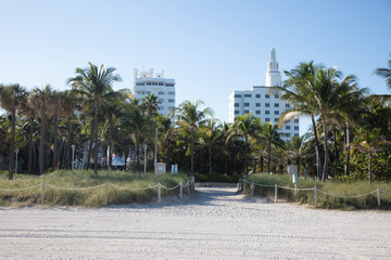 Naklejka premium Miami Beach architecture