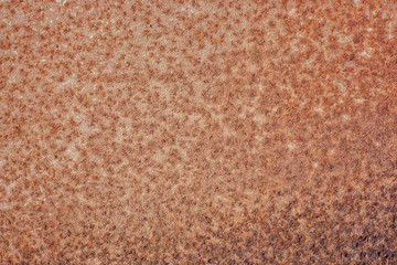 brown carpet texture