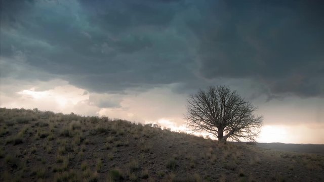 Aerial: Lone tree surrounded by Dramatic storm with Dark Clouds Heavy Rain. New Mexico, USA