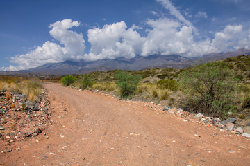 Potrerillos 4