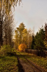 ścieżka © Piotr Łaskawski