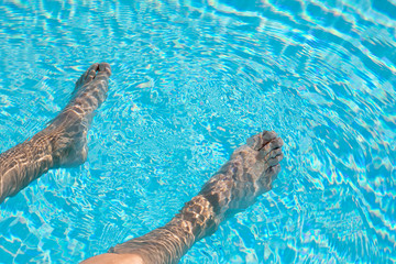 Female legs in the pool