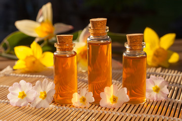 primrose essential oil in  beautiful bottle on table