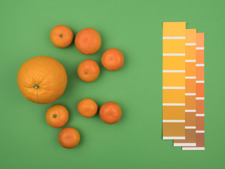 Tangerines and orange and color palettes. Green background.