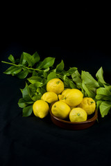 lemons on black and leaves on branches