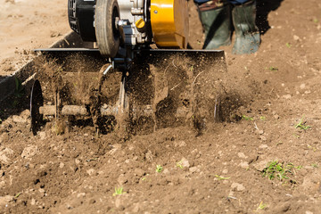 A cultivator plows the land. Agricultural machinery: cultivator for cultivating the soil in the...