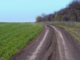 View of a rural road and a piece of green field. View of a green field and a rural road on a Sunny day