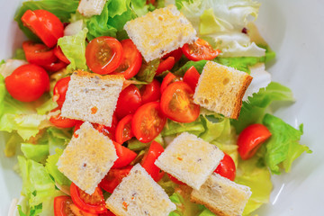 Salad with lettuce and cherry tomatoes with crunchy bread crackers close up.