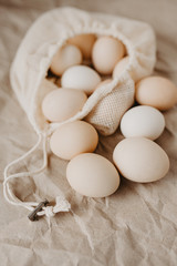 Farm eggs in eco natural bag on craft paper background.