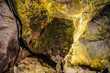 溶岩樹型洞窟探索