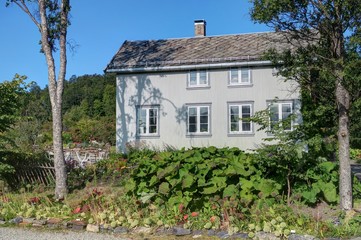 Fototapeta na wymiar maisons colorées en bois (norvège)