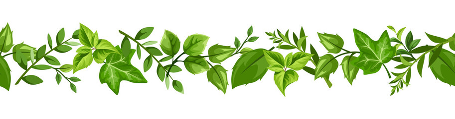 Vector horizontal seamless border with various green leaves. © naddya