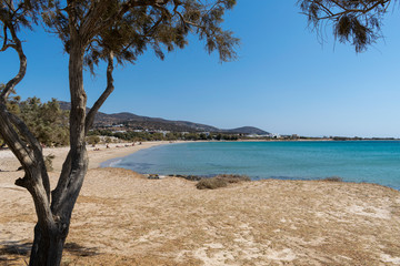 Fototapeta na wymiar Piso Aliki beach on Paros island in Greece