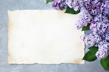 Background with lilac flowers and paper for text.