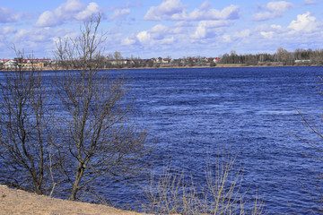 A tree branch on the background of blue water, river and coastline