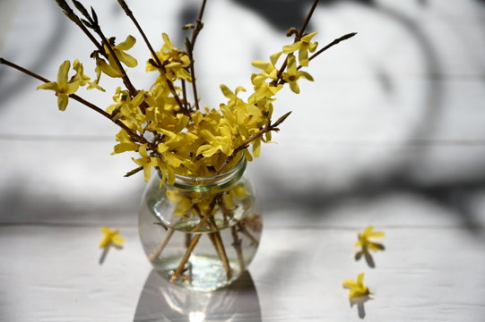 Yellow Flowers In Vase On The Table