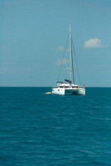 Fototapeta premium Catamaran sailing in ocean. Whitehaven beach, Whitsundays. Turquoise ocean. Travel, holiday, vacation, paradise. Shot in Hill Inlet, Queenstown, Australia.