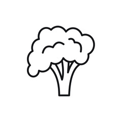 Broccoli icon