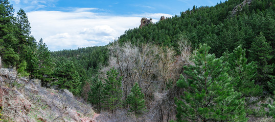 Mountain hike with a view of the trees