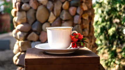 white porcelain cup and saucer and red quince flowers in the spring garden