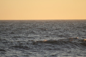 Obraz premium mar abierto