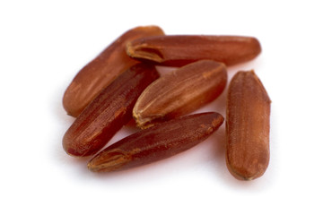 Brown rice grains close up on white background