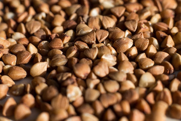 Buckwheat groats macro shooting. Buckwheat grains