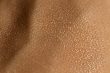 
Skin texture. Macro close-up shot of skin