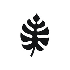 Split leaf philodendron icon © Alwie99d