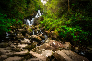 Fototapeta premium Beautiful Torc waterfall in Killarney National Park, Ireland