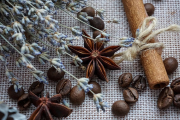 anise and cinnamon sticks