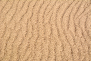 Fototapeta na wymiar Sand texture with waves. Yellow sand. Background from fine sand.