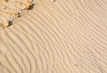 Sand texture with waves. Yellow sand. Background from fine sand.