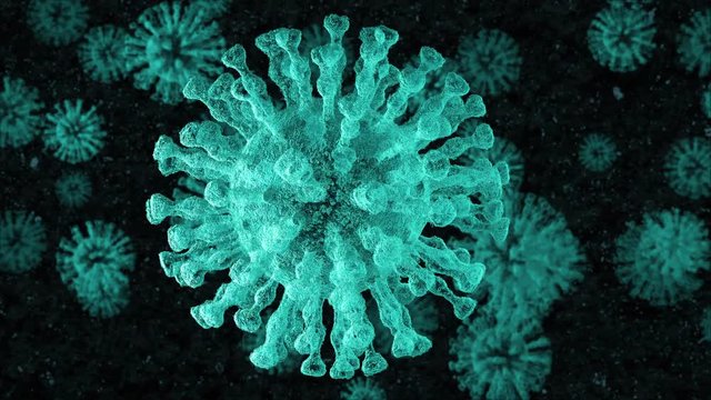 COVID-19 virus of human