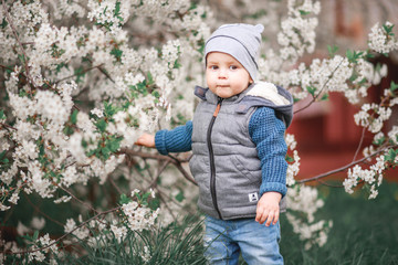 Portrait of a boy at a flowering tree . Children on a walk on a spring day .