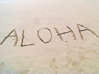 Hello from Hawaii